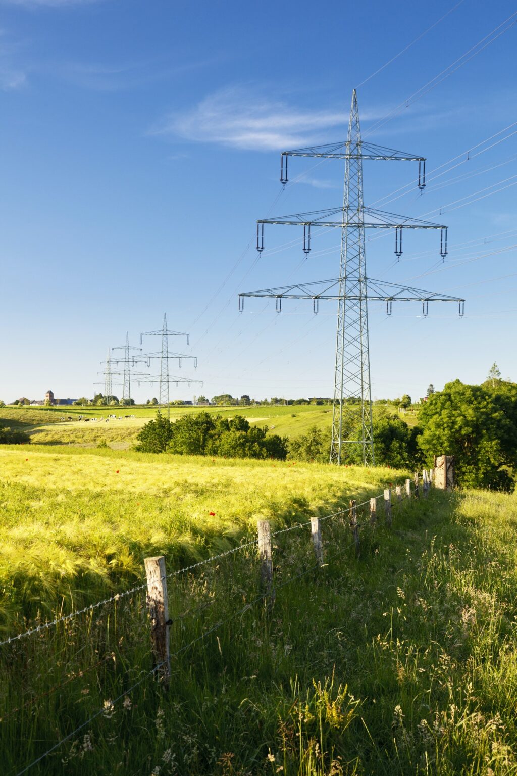 Electricity Pylons In Green Landscape